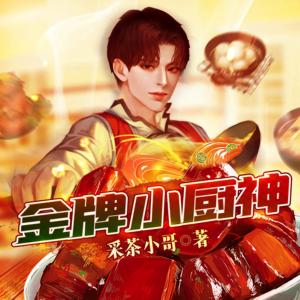 金牌小厨神有声小说