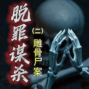 脱罪谋杀二有声小说