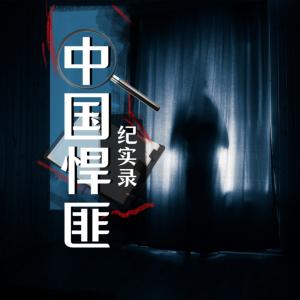 中国悍匪纪实录有声小说