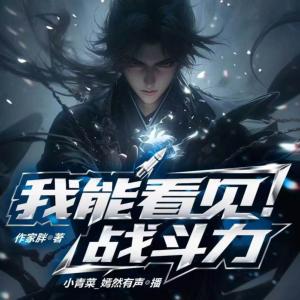 我能看见战斗力