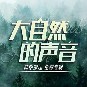 大自然的声音有声小说