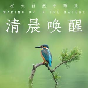 清晨唤醒在大自然中醒来