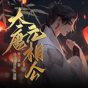 大唐元宰相有声小说
