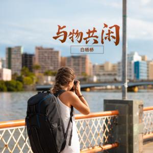 与物共闲|旅游散文|印象济南有声小说