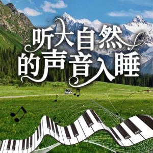 听大自然的声音入睡有声小说