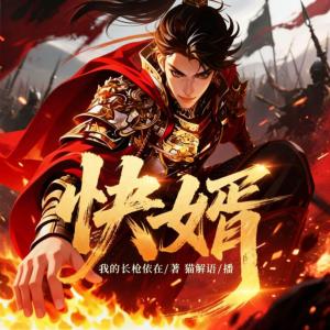 快婿有声小说
