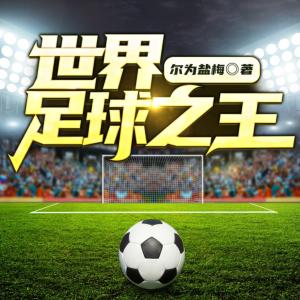 世界足坛之王有声小说