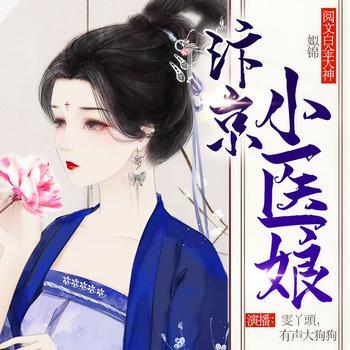 汴京小医娘有声小说
