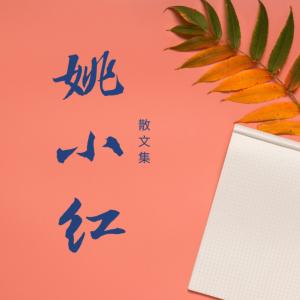 姚小红散文集|获奖散文有声小说