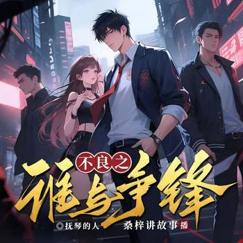 不良之谁与争锋有声小说
