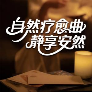 自然疗愈曲静享安然有声小说