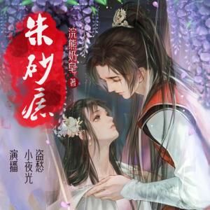 朱砂痣有声小说