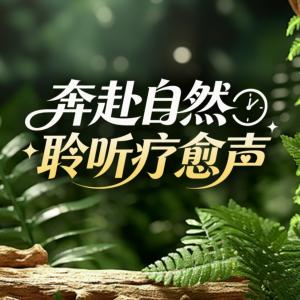 奔赴自然聆听疗愈声有声小说
