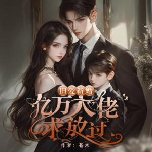 旧爱新婚，亿万大佬求放过有声小说