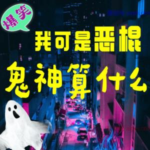 我可是恶棍，鬼神算什么有声小说