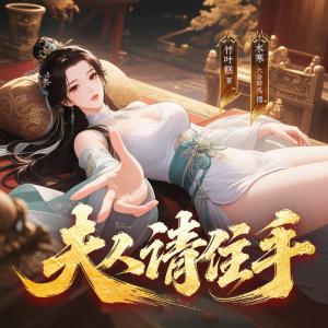 夫人请住手有声小说