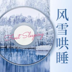 风雪催眠：冬季限定一听就困大自然白噪音安心睡有声小说
