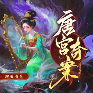 唐宫奇案有声小说