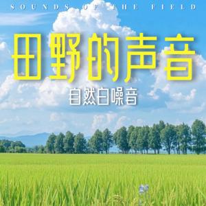 田野的声音白噪音有声小说