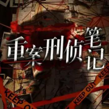 重案刑侦笔记有声小说