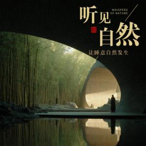 听见自然一夜好眠有声小说