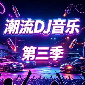 潮流DJ音乐Ⅲ专业混音音质有声小说