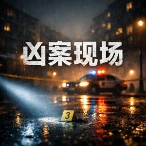 凶案现场：当科技照不进暗角有声小说