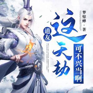 道友，这天劫可不兴当啊有声小说