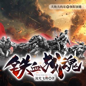 铁血战魂1949有声小说
