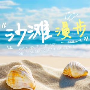 沙滩漫步海浪助眠白噪音有声小说