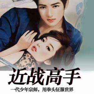 近身高手有声小说