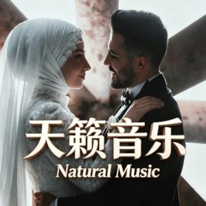 欧美音乐金曲第二季有声小说