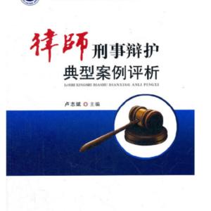 刑事辩护典型案例评析