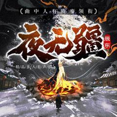 夜无疆有声小说