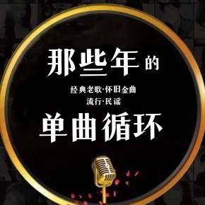 那些年的单曲循环有声小说