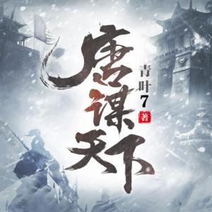 唐谋天下有声小说