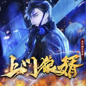 上门狼婿有声小说