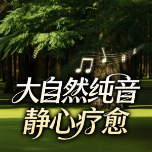 大自然纯音静心疗愈有声小说