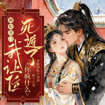 侧妃进门我让位，死遁了你疯什么有声小说