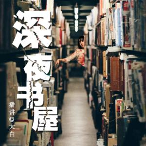 深夜书屋有声小说