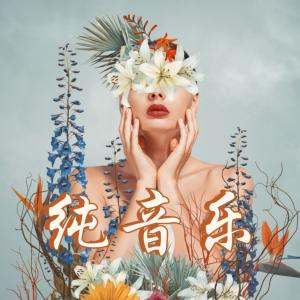纯音乐：适合按摩、水疗、冥想和休息时间的轻背景音乐有声小说