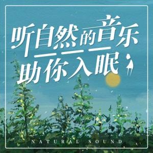 听自然的音乐助你入眠