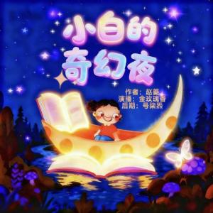 小白的奇幻夜有声小说