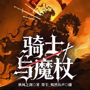 骑士与魔杖有声小说