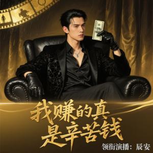 我赚的真是辛苦钱有声小说