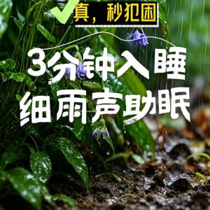 听雨有声小说