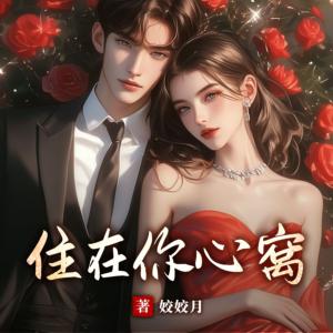 住在你心窝有声小说