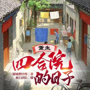 重生四合院的日子有声小说