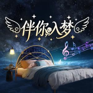 伴你入梦有声小说