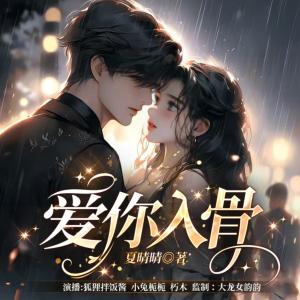 爱你入骨有声小说